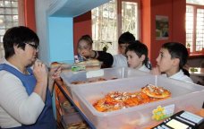 Məktəb bufetində zərərli qida satılırsa... &ndash; Direktor məsuliyyətə CƏLB OLUNACAQ?