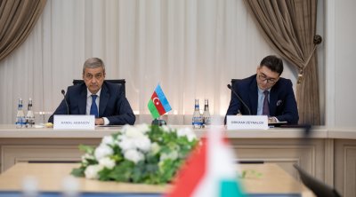 Azərbaycan-Macarıstan enerji əməkdaşlığı müzakirə edilib