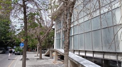 Bakıda yeni tikilmiş binanın qarşısındakı ağaclar məqsədli şəkildə qurudulub? - FOTO