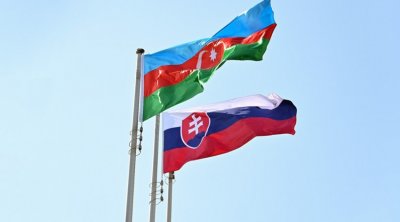 Azərbaycan-Slovakiya sənədləri İMZALANDI - VİDEO