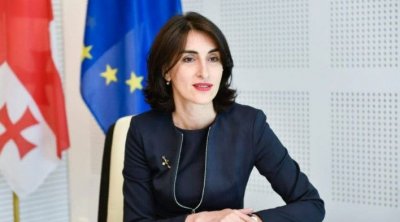 Gürcü deputat: “Avropa Parlamenti etiraz ittihamını gücləndirmək istəyir”