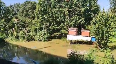 Samuxda evləri su basdı – VİDEO