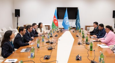 COP29-un baş danışıqçısı Kiçik Ada Dövlətləri Alyansının nümayəndələri ilə görüşüb - FOTO