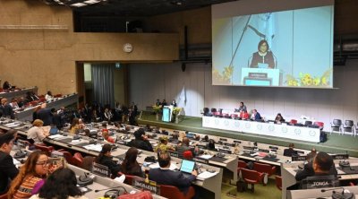 Milli Məclis Parlamentlərarası İttifaqla COP29 çərçivəsində parlament görüşü təşkil edəcək - FOTO