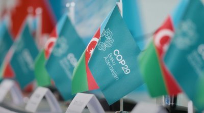 COP29-da TDT ölkələrinin ekologiya üzrə “Nazirlər Bəyannaməsi” imzalandı