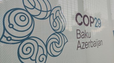 COP29 iştirakçılarının neçə nəfəri media nümayəndəsidir?