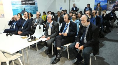 COP29-da "Qafqazda biomüxtəliflik və iqlim bağlantısı" mövzusunda müzakirələr aparıldı - FOTO