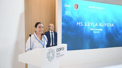 Leyla Əliyeva COP29-da dəniz canlılarına dair panel müzakirələrində iştirak edib - FOTO