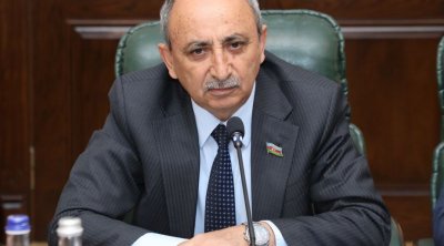 “Hər il Saatlının kəndlərinə qazın çəkilməməsi problemini qaldırıram” – Deputat Əziz Ələkbərli