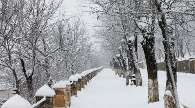 GÜNÜN HAVASI: 21 dərəcə şaxta olacaq, yollar buz bağlayacaq