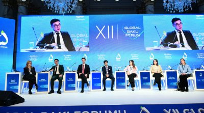 XII Qlobal Bakı Forumu: “Gənclər danışsın, biz dinləyək” mövzusunda panel iclas keçirildi - FOTO