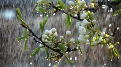 Bayram günlərinin HAVA PROQNOZU: Dolu, qar, şimşək...