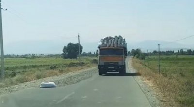 Yola günəbaxan tumları yığdı, məsuliyyətə cəlb edildi - FOTO