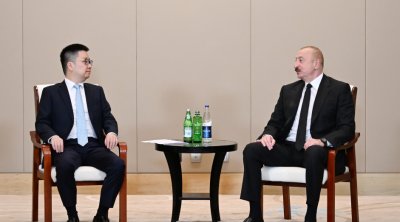 Ələt Azad İqtisadi Zonasında Günəş panelləri istehsal edən müəssisə yaradılacaq - FOTO