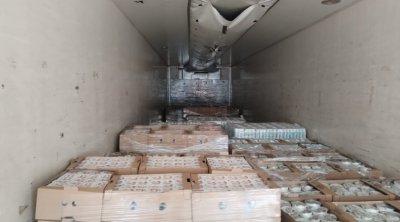 Azərbaycandan iki ölkəyə 3 tondan çox qurbağa ayağı İXRAC OLUNDU - FOTO