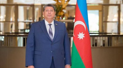 Millət vəkili Prezidentə minnətdarlığını bildirdi