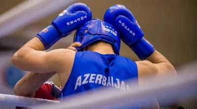 Boks millimiz Avropa çempionatında