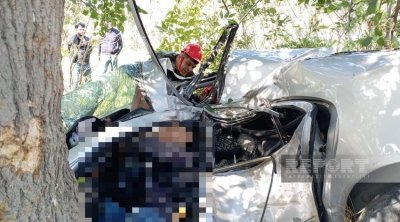 Şabranda avtomobil ağaca çırpıldı - Sürücü öldü - FOTO