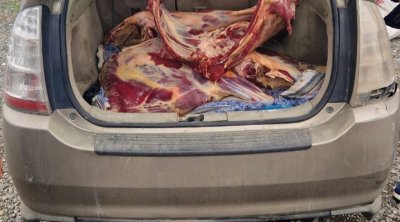 “Toyota Prius”da 92 kq mənşəyi məlum olmayan ət aşkarlandı – FOTO