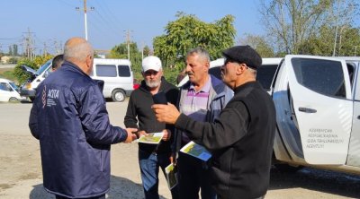 Xaçmazda Qəhvəyi mərmər bağacığına qarşı tələlər quruldu – FOTO