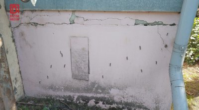 Lənkəranda yaşayış binasını qurd basdı - FOTO