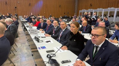 Azərbaycan nümayəndə heyəti NATO PA-nın 71-ci illik sessiyasında – FOTO
