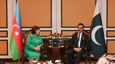 Sahibə Qafarova Pakistan prezidenti və Senatının sədri ilə görüşdü - FOTO