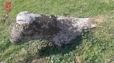 Cəlilabadda naməlum şəxslər XII–XIII əsrlərə aid daş heykəlin boyun və çənə hissəsini sındırdı - FOTO