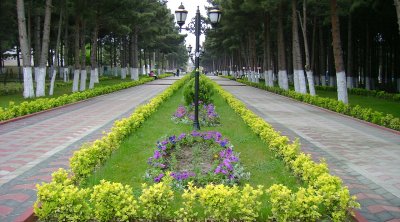 Abşeronda 20 yaşlı oğlan qətlə yetirildi