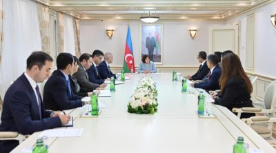 Milli Məclisin sədri TÜRKPA-nın yeni Baş katibinin başçılıq etdiyi nümayəndə heyəti ilə görüşüb