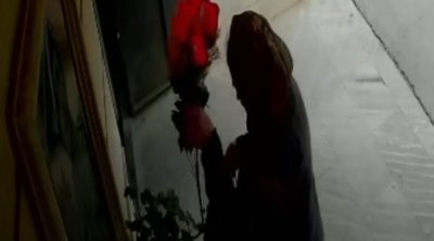 Şəhidin büstü üzərindəki güllər oğurlandı – VİDEO