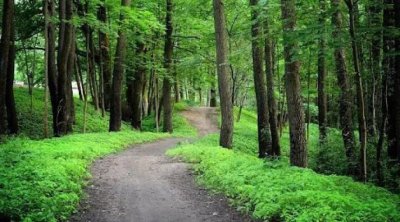 17 ildir itkin düşən şəxs dağda tapıldı