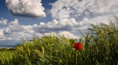 Sabah hava necə olacaq? – PROQNOZ