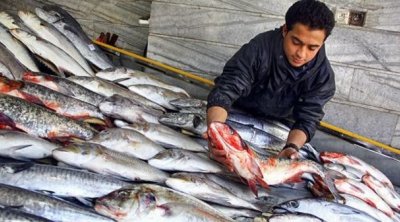 Balıq bazarında canlanma yaranıb, qiymətlər artıb - VİDEO