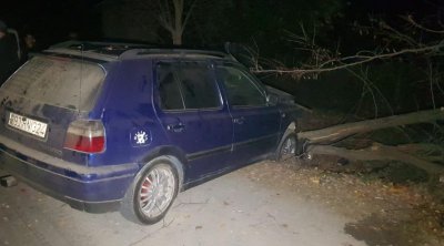 Göyçayda AĞIR QƏZA: Sürücü xəsarət aldı - FOTO