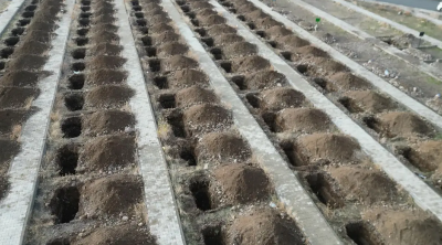 Təcili 500 məzar qazıldı - Türkiyədə diqqətçəkən hazırlıq - FOTO