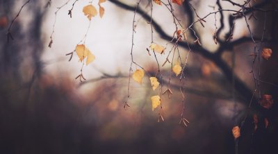 Sabah hava necə olacaq? – PROQNOZ