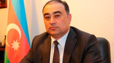 Türksoylu statusu yalnız başqa ölkələrdə yaşayan milli azlıqlara verilir - SƏFİR