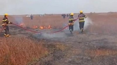 Cəlilabadda açıq ərazidə yanğın olub - FOTO/VİDEO