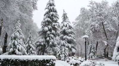 İsmayıllıya ilk qar yağdı – VİDEO