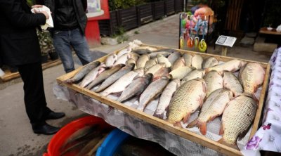 Bakının bu ərazisində qanunsuz küçə satışına qarşı REYD – FOTO/VİDEO