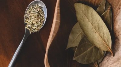 Dekabrda dörd gün dəfnə yarpağı yandırın: həyatınızın necə dəyişdiyini görün