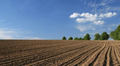 Havaların quraq keçməsi Şəkidə əkin sahələrinə necə təsir edir? - FOTO