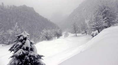 Bu rayonlara qar yağır - FAKTİKİ HAVA