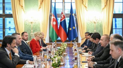 Bratislavada İlham Əliyevin Slovakiya Prezidenti ilə geniş tərkibdə görüşü olub - FOTO