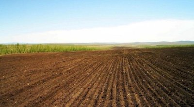 Bu rayonlarda torpaq sahəsi almaq istəyənlərin NƏZƏRİNƏ