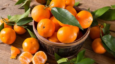 Mandarinlər niyə tez xarab olur?