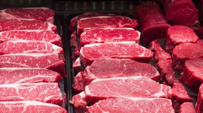 Azərbaycan Kanadadan mal əti tədarük etməyə BAŞLADI