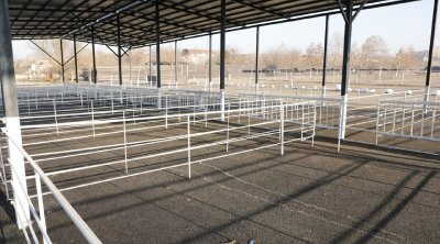 Daha bir &ldquo;mal bazarı&rdquo;nın fəaliyyəti bərpa edilir &ndash; VİDEO