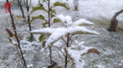 Şimal-Qərb bölgəsində ilk qar – FOTO